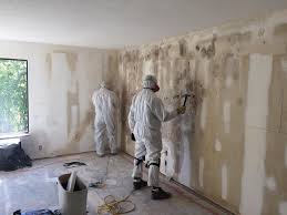 Professional Mold Prevention & Removal  in Sumner, IL